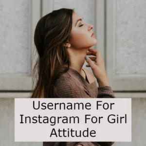 Username For Instagram For Girl Attitude