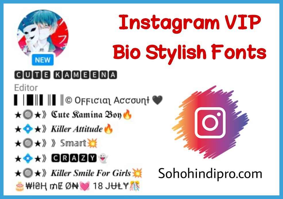 Instagram vip bio stylish font