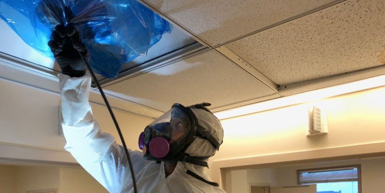 Why Air Duct Cleaning Is Essential in Healthcare Facilities: An Overview